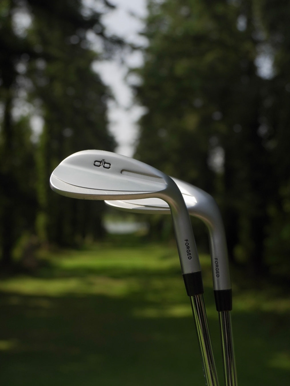 Two golf clubs with a blurred green background